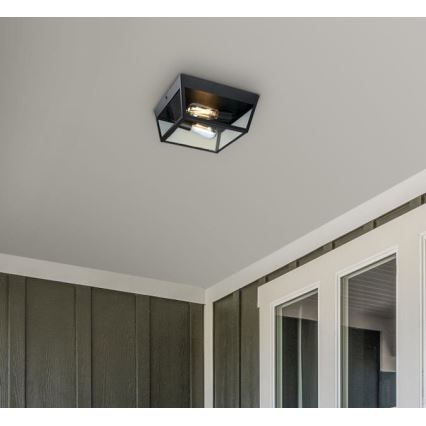 Westinghouse 61219 - Āra griestu lampa PETERSON 2xE27/40W/230V IP44