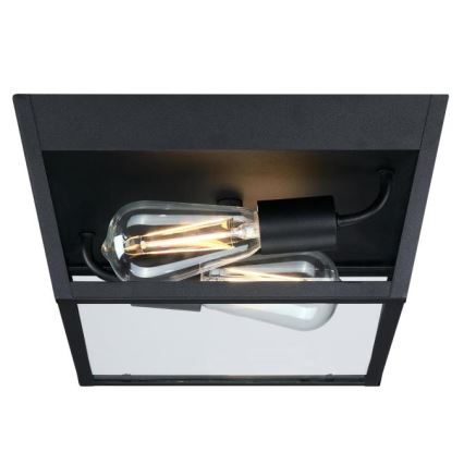 Westinghouse 61219 - Āra griestu lampa PETERSON 2xE27/40W/230V IP44