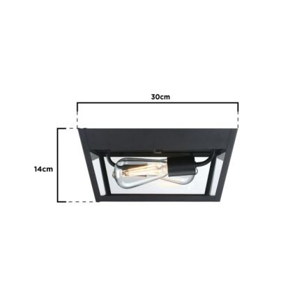 Westinghouse 61219 - Āra griestu lampa PETERSON 2xE27/40W/230V IP44