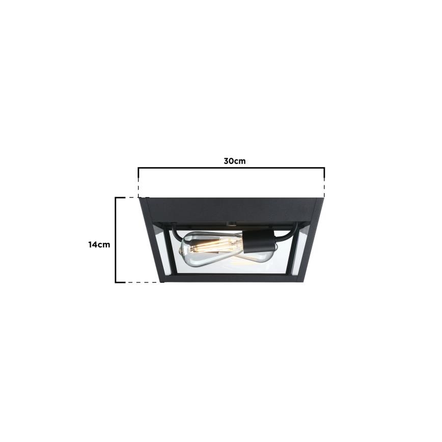 Westinghouse 61219 - Āra griestu lampa PETERSON 2xE27/40W/230V IP44