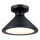 Westinghouse 61238 - Āra griestu lampa WALTER 1xE27/60W/230V IP44