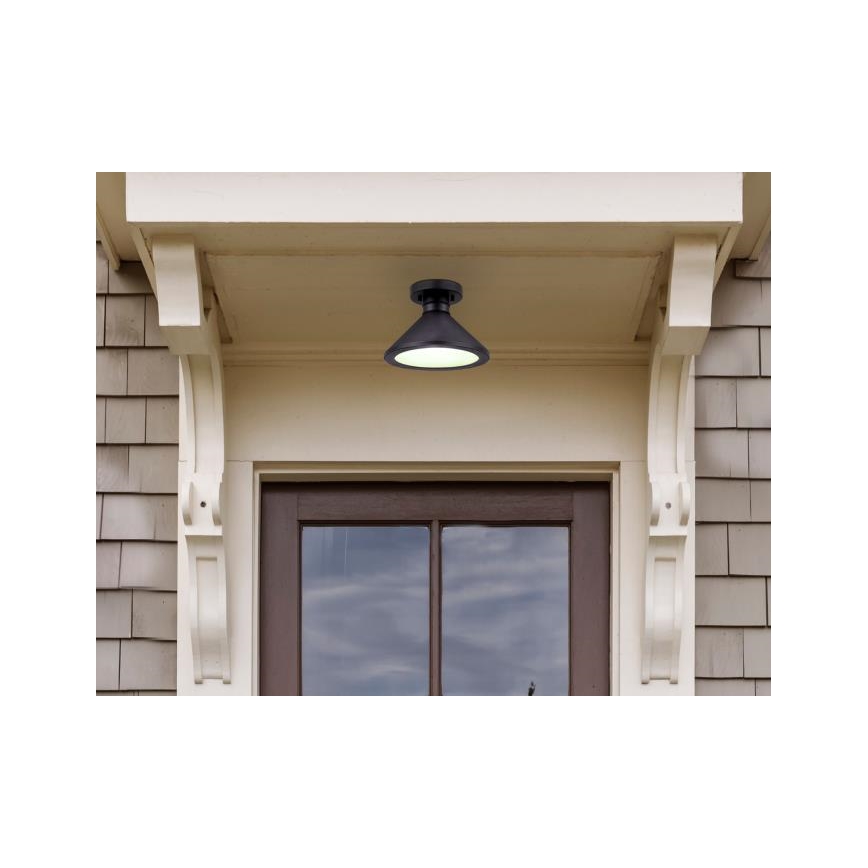 Westinghouse 61238 - Āra griestu lampa WALTER 1xE27/60W/230V IP44