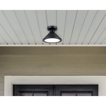 Westinghouse 61238 - Āra griestu lampa WALTER 1xE27/60W/230V IP44