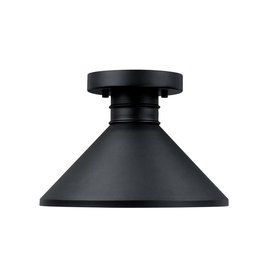 Westinghouse 61238 - Āra griestu lampa WALTER 1xE27/60W/230V IP44