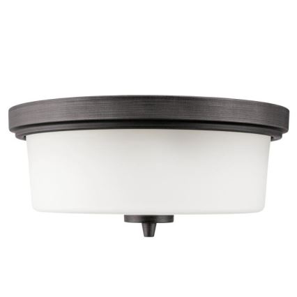 Westinghouse 6325140 - Griestu lampa CEDRIC 2xE27/40W/230V Ø 33 cm