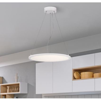 Westinghouse 65751 - LED Aptumšojama lustra ar auklu ATLER LED/32W/230V 45 cm