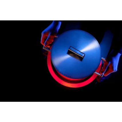 WMF - Katls ULTIMATE COOL pr. 20 cm