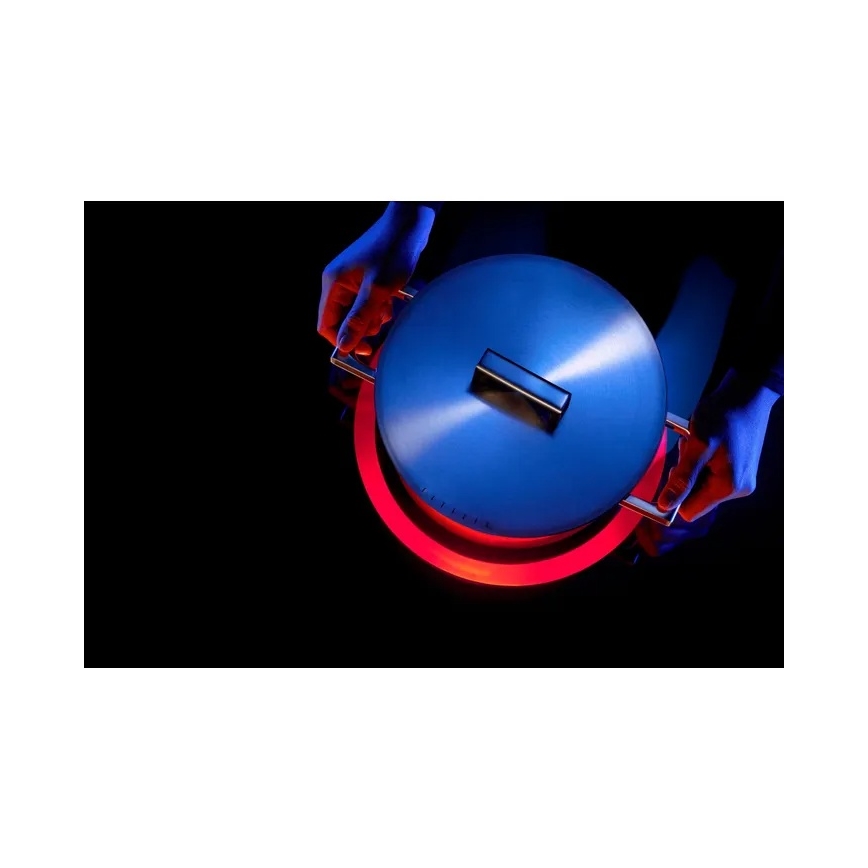 WMF - Katls ULTIMATE COOL pr. 20 cm