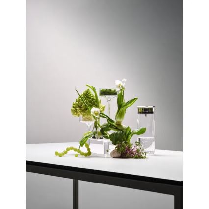 WMF - MOTION ūdens karafe 800 ml