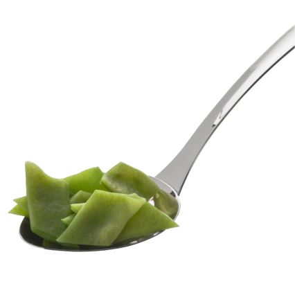 WMF - PROFI PLUS pasniegšanas karote, nerūsējošā tērauda