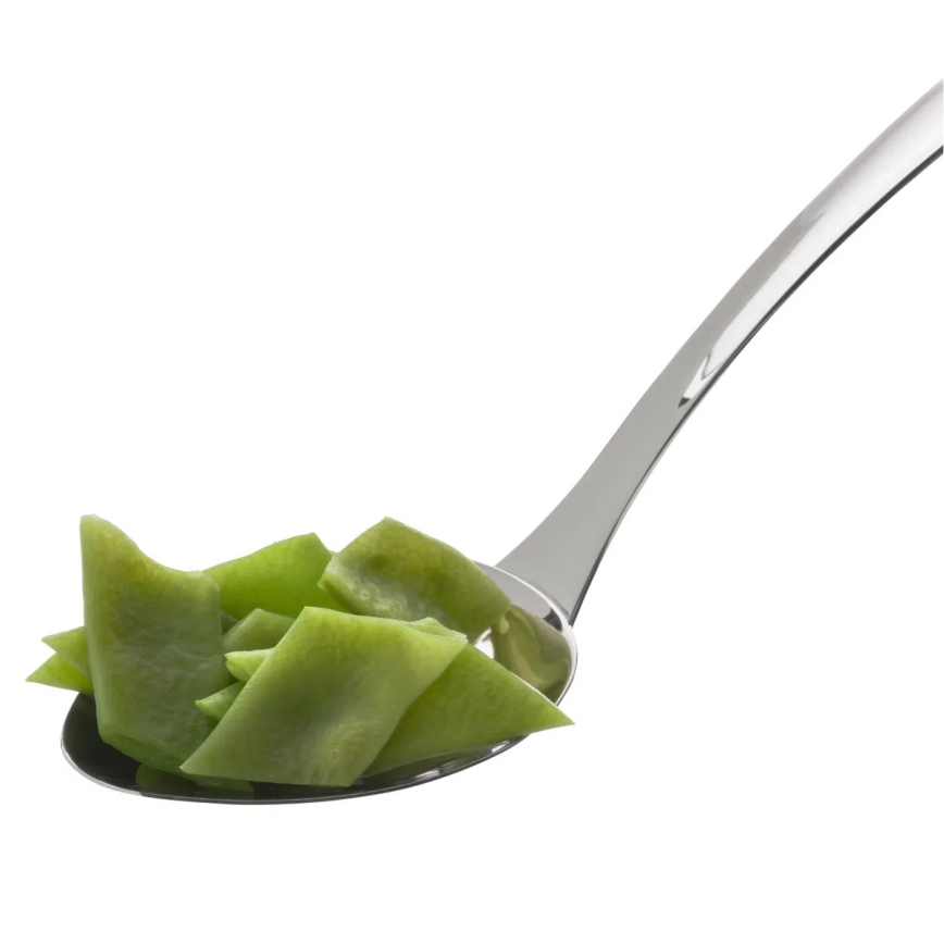 WMF - PROFI PLUS pasniegšanas karote, nerūsējošā tērauda