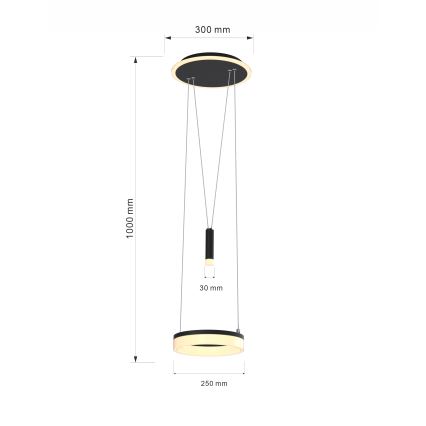 Wofi 6054-302 - LED Aptumšojama lustra ar auklu JESSE LED/15,5W/230V melna