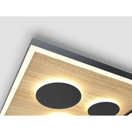 Wofi 9012-306S - LED Aptumšojama griestu lampa DIJON LED/26W/230V