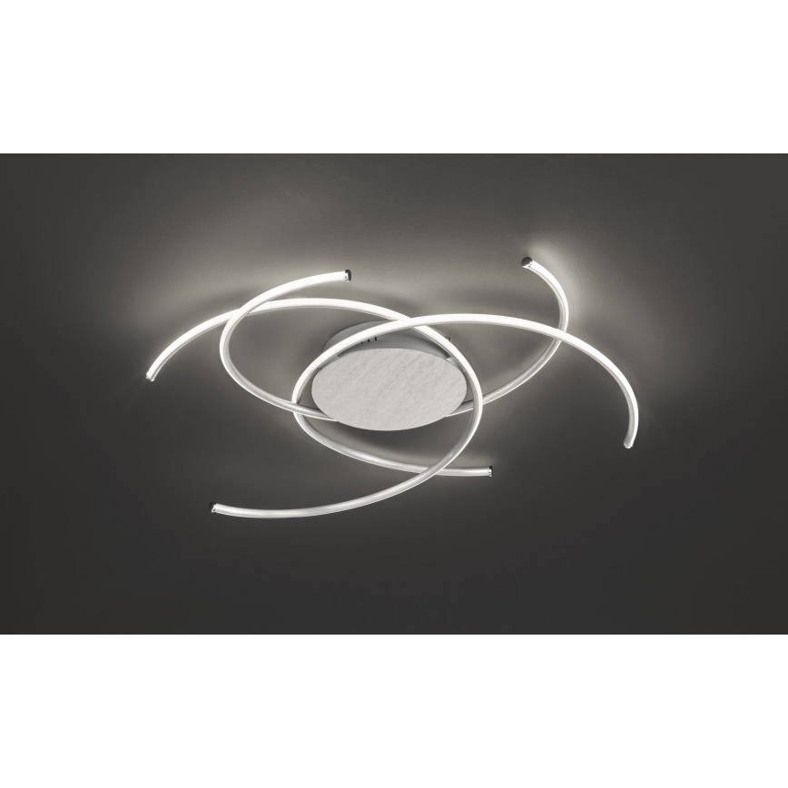 Wofi - LED Griestu lampa JULS LED/24W/230V