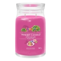 Yankee Candle - Aromātiskā svece ART IN THE PARK liela 567g 60-90 st.