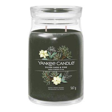 Yankee Candle - Aromātiskā svece SILVER SAGE & PINE liela 567 g 60-90 stundas.