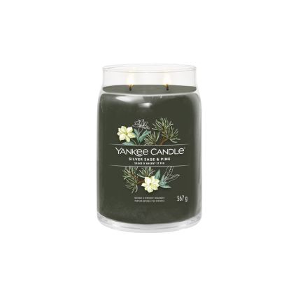 Yankee Candle - Aromātiskā svece SILVER SAGE & PINE liela 567 g 60-90 stundas.