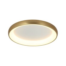 Zambelis 2042 - LED Aptumšojama griestu lampa LED/30W/230V d. 40 cm zelta