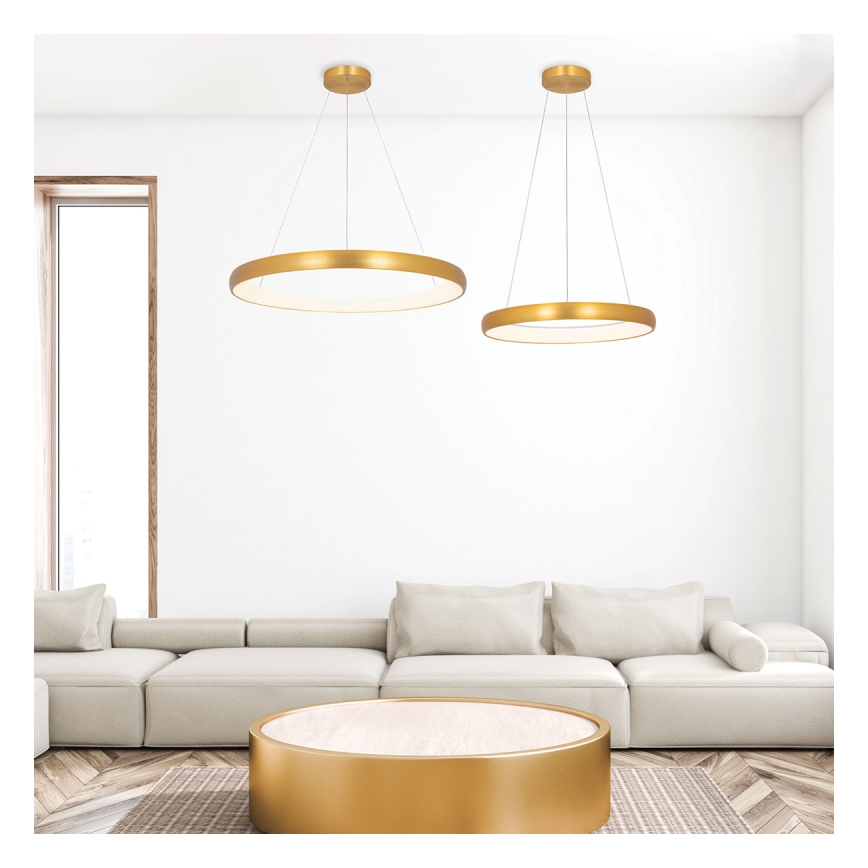Zambelis 2054 - LED Aptumšojama lustra ar auklu LED/50W/230V d. 60 cm zelta