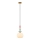 Zambelis 22079 - Lustra ar auklu 1xE27/40W/230V