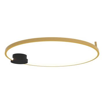 Zambelis 23097 - LED Aptumšojama griestu lampa LED/32W/230V 3000K d. 80 cm zelta
