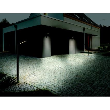 Zambelis E205 - LED Āra sienas lampa LED/10W/230V IP54, antracīta