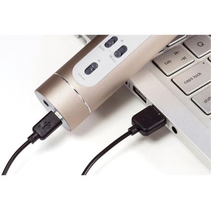 Zelta karaoke mikrofons 6W/5V 1500 mAh Bluetooth