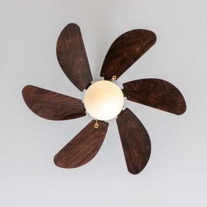 ZEVENTI - Griestu ventilators FAMARA 1xE14/60W/230V