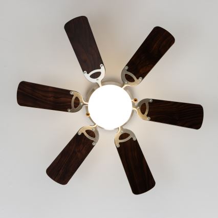 ZEVENTI - Griestu ventilators GALDANA 1xE27/60W/230V brūna/bēša