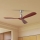 ZEVENTI - Griestu ventilators LIONI Wi-Fi Tuya matēts hroms/ozols + tālvadības pults