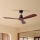 ZEVENTI - Griestu ventilators LIONI Wi-Fi Tuya melna/ozols + tālvadības pults