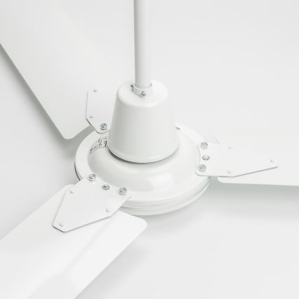 ZEVENTI - Griestu ventilators TOFINO balta