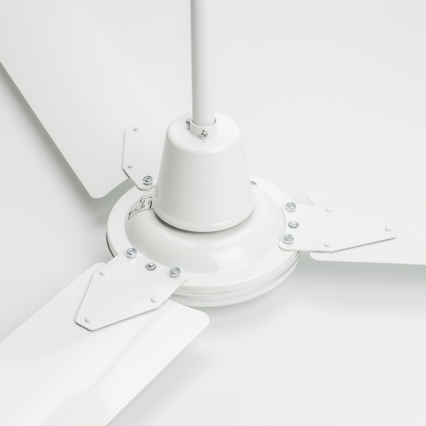 ZEVENTI - Griestu ventilators TOFINO balta