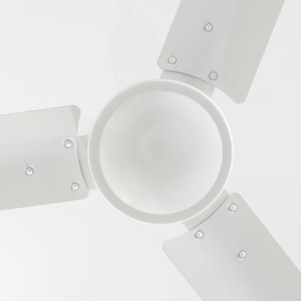 ZEVENTI - Griestu ventilators TOFINO balta