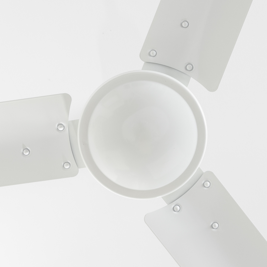 ZEVENTI - Griestu ventilators TOFINO balta
