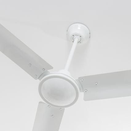 ZEVENTI - Griestu ventilators TOFINO balta