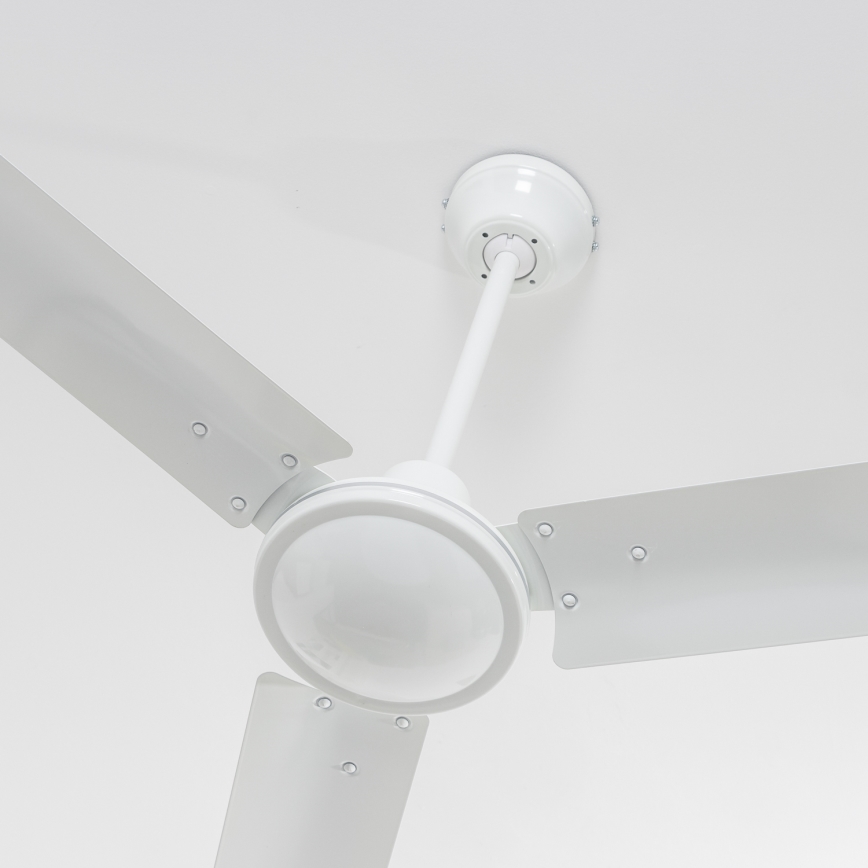 ZEVENTI - Griestu ventilators TOFINO balta