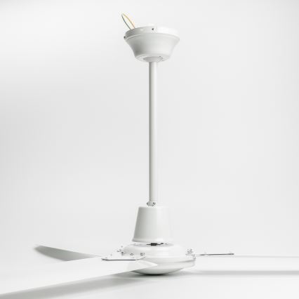 ZEVENTI - Griestu ventilators TOFINO balta