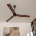 ZEVENTI - Griestu ventilators TOFINO brūna