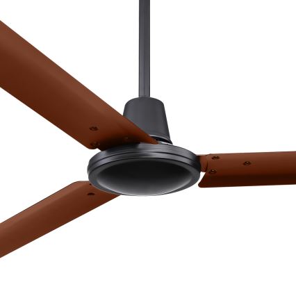 ZEVENTI - Griestu ventilators TOFINO brūna
