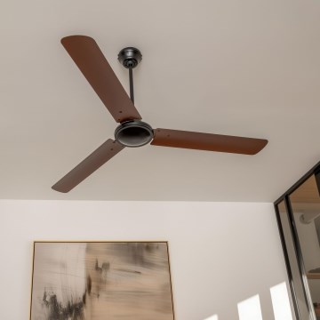 ZEVENTI - Griestu ventilators TOFINO brūns