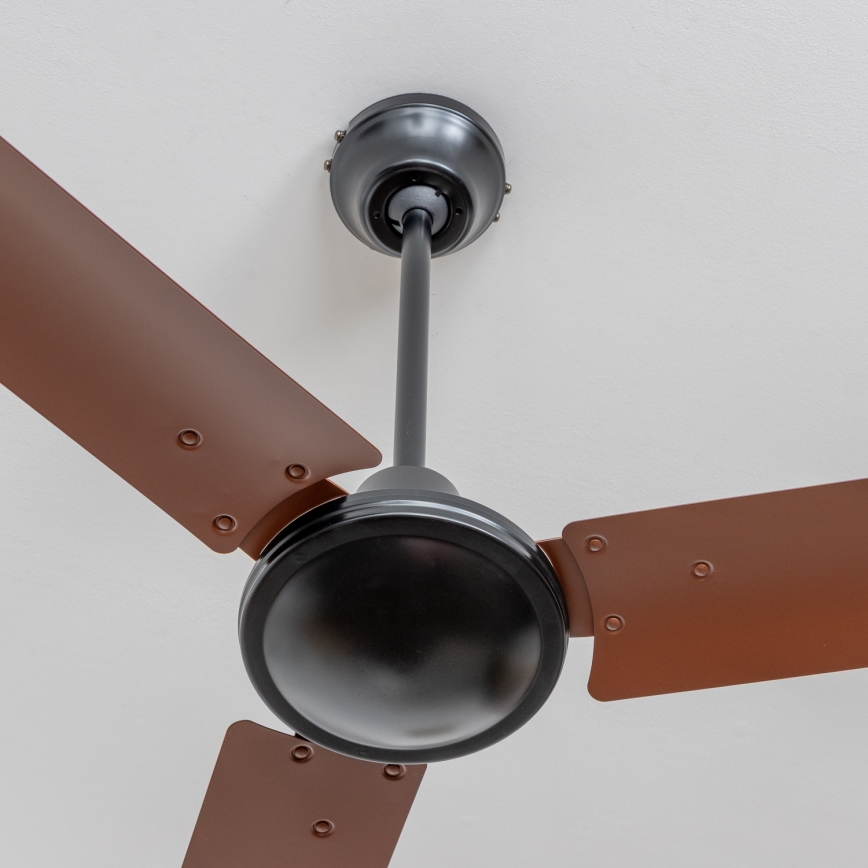 ZEVENTI - Griestu ventilators TOFINO brūns