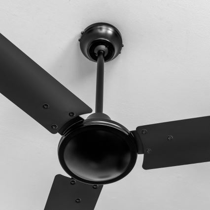 ZEVENTI - Griestu ventilators TOFINO melns