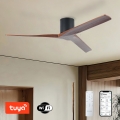 ZEVENTI - Griestu ventilators VELLON Wi-Fi Tuya melns/valrieksts + tālvadība