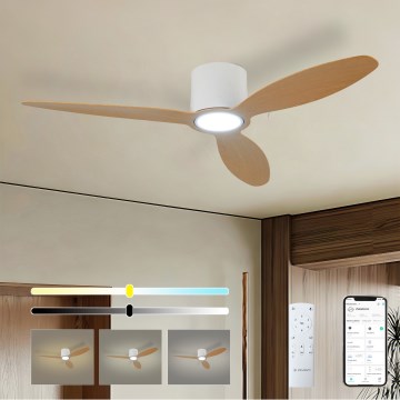 ZEVENTI - LED dimējams griestu ventilators VENTORA LED/24W/230V 3000/4000/6000K Wi-Fi Tuya balts/ozols + tālvadības pults