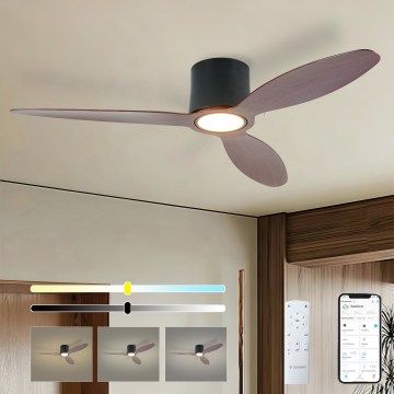 ZEVENTI - LED Dimmējams griestu ventilators VENTORA LED/24W/230V 3000/4000/6000K Wi-Fi Tuya melns/riekstkoka + tālvadības pults