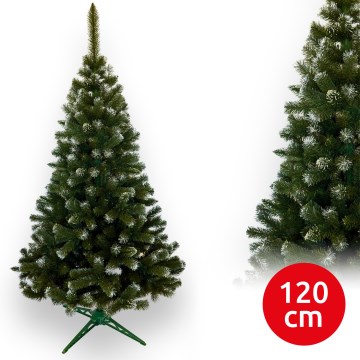 Ziemassvētku egle 120 cm (egle)
