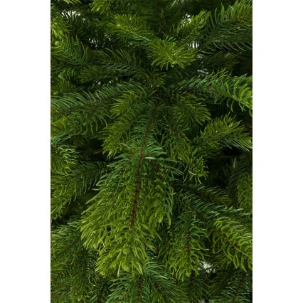 Ziemassvētku egle 220 cm (egle)