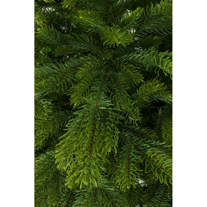Ziemassvētku egle 220 cm (egle)