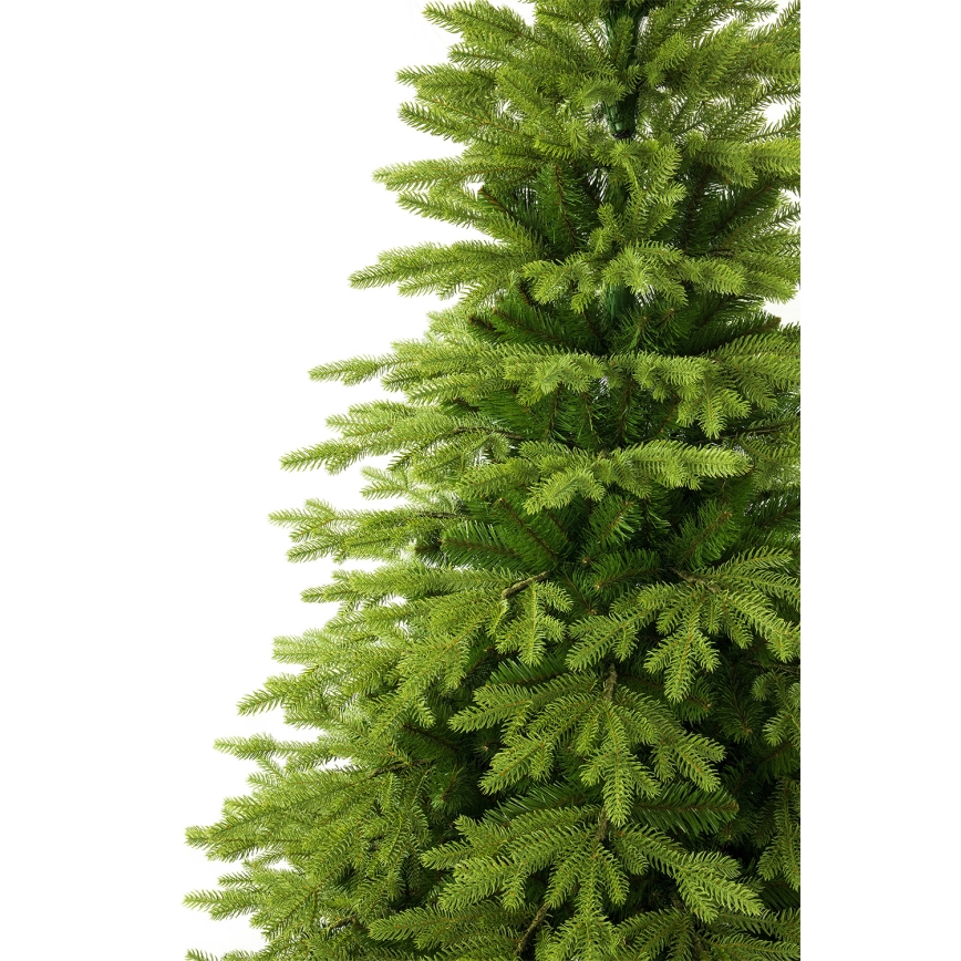 Ziemassvētku egle 220 cm (egle)